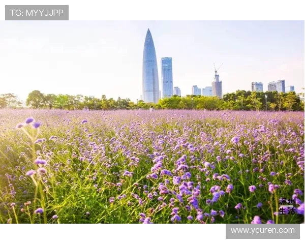 紫百合公园停摆众人致敬科米索 紫百合公园停摆众人致敬科米索