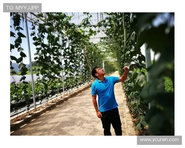 浙大状元球员转型杭州教练